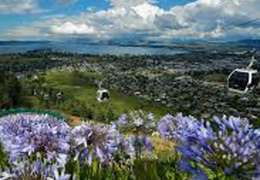 IgluCruise.Application.ViewModels.Shared.WebImageViewModel?.Description