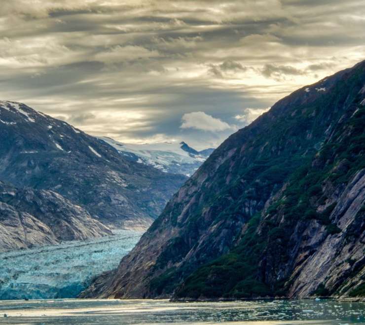 Endicott Arm (Scenic Cruising)