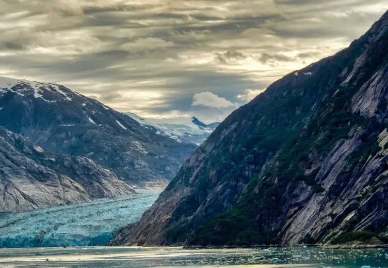 Endicott Arm (Scenic Cruising)