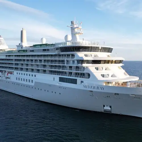 Image related to Silver Ray