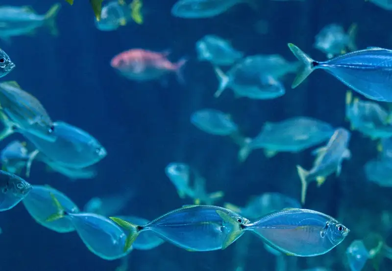 Kagoshima City Aquarium