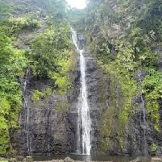 Image related to Vaipō Waterfall