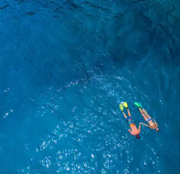 Image related to Perfect Day at Lelepa