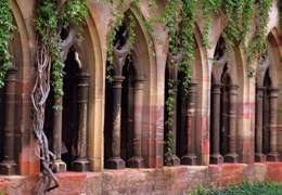 IgluCruise.Application.ViewModels.Shared.WebImageViewModel?.Description