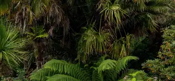 Image related to Vargas Park