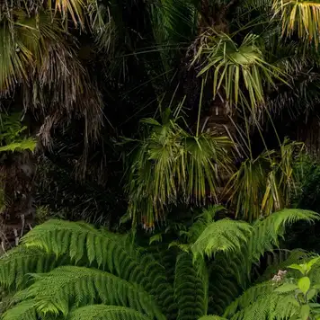 Image related to Vargas Park