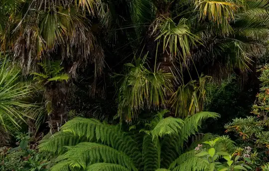 Image related to Vargas Park