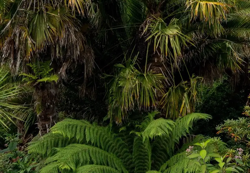 Vargas Park