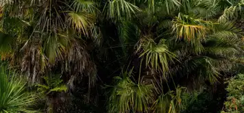 Image related to Image related to Vargas Park