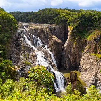 Image related to Cairns - Full Day Grand Kuranda Tour