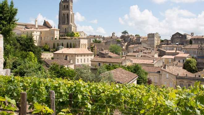 Sip Wine in Bordeaux’s Vineyards