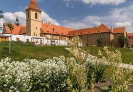 IgluCruise.Application.ViewModels.Shared.WebImageViewModel?.Description