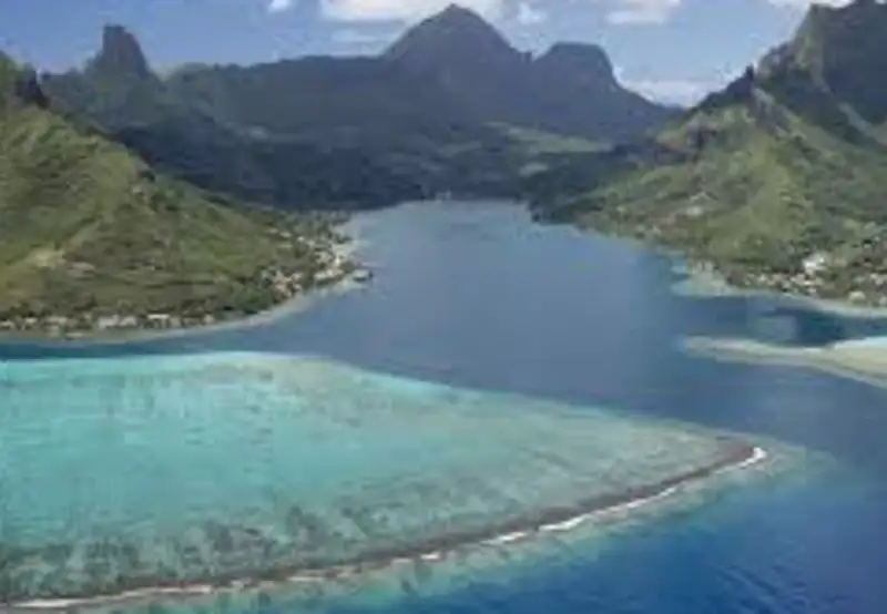 Cook's Bay, Moorea