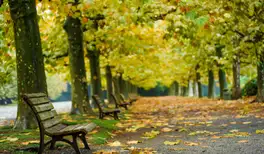 Image related to Shinjuku Gyoen National Garden