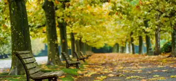 Image related to Shinjuku Gyoen National Garden