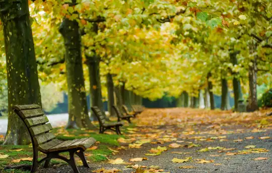 Image related to Image related to Shinjuku Gyoen National Garden