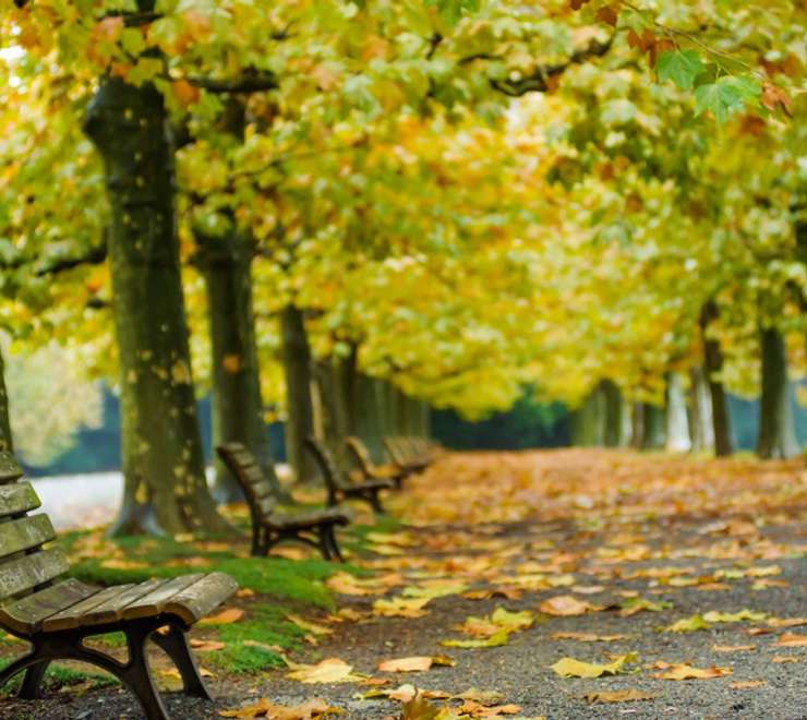 Shinjuku Gyoen National Garden
