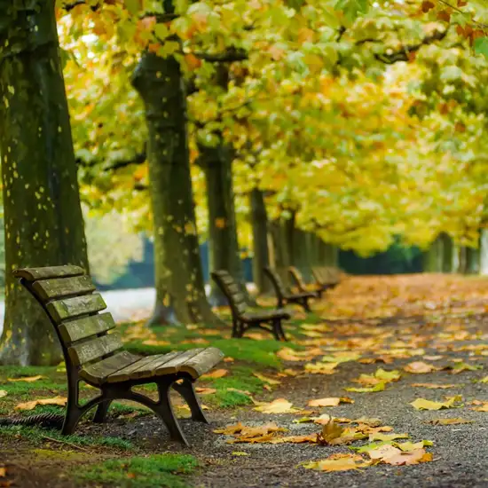 Image related to Shinjuku Gyoen National Garden