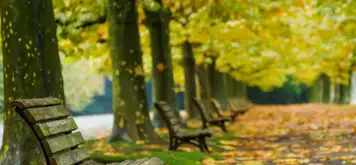 Image related to Shinjuku Gyoen National Garden