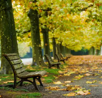Image related to Shinjuku Gyoen National Garden