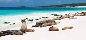 Image related to Gardner Bay, Española