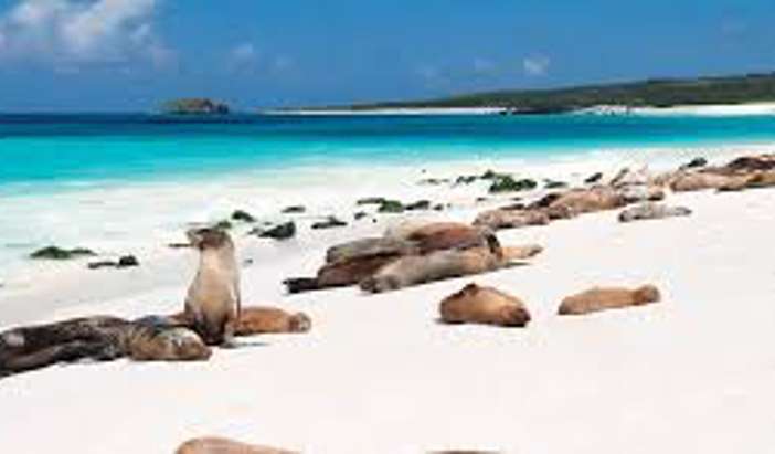 Gardner Bay, Española