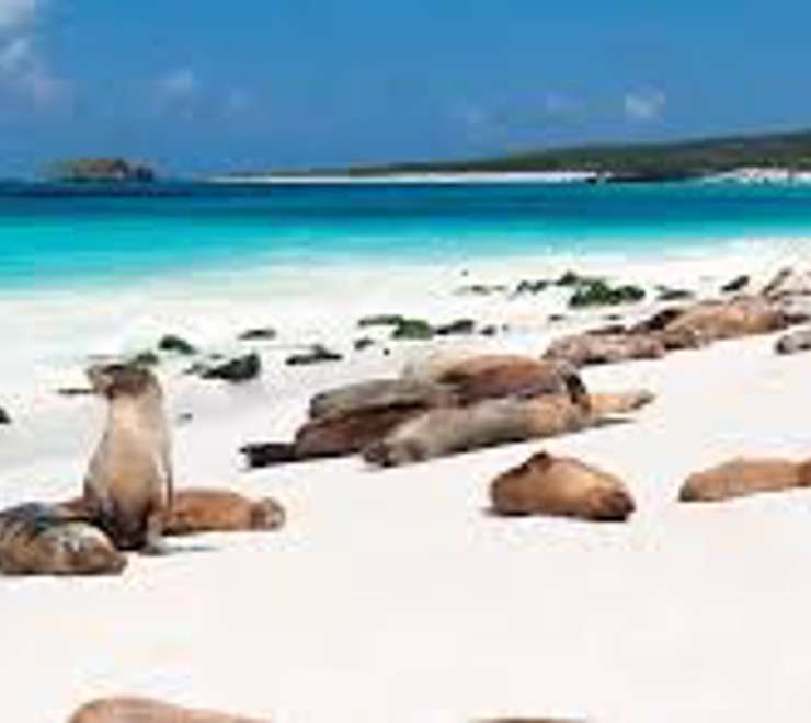 Gardner Bay, Española