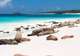 Gardner Bay, Española