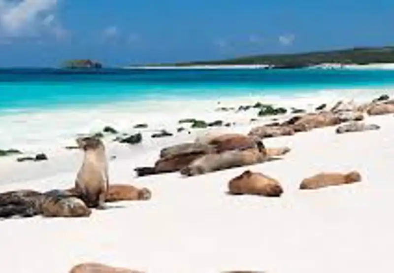 Gardner Bay, Española