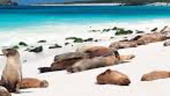 Gardner Bay, Española