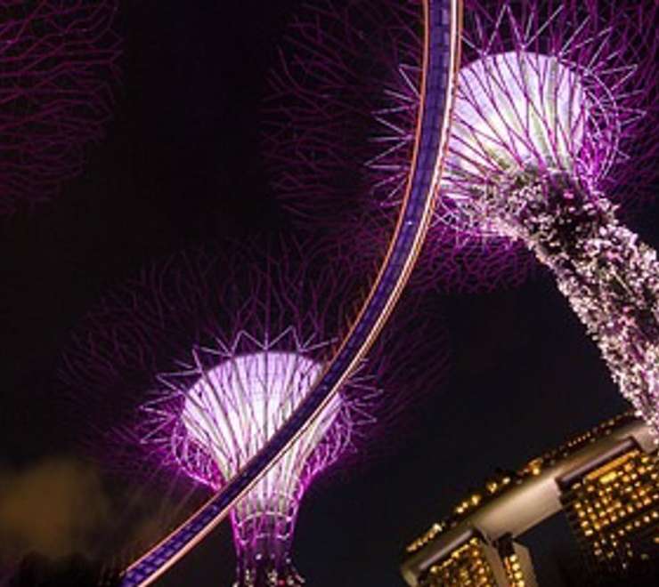 Singapore - The Grand Singapore Night Tour: Cruise, Rhapsody, and Illumination