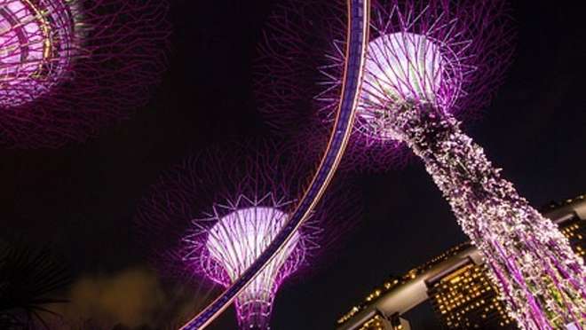The Grand Singapore Night Tour: Cruise, Rhapsody, and Illumination