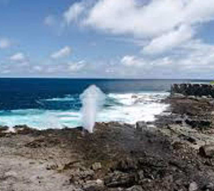 Marvel at the Blowhole