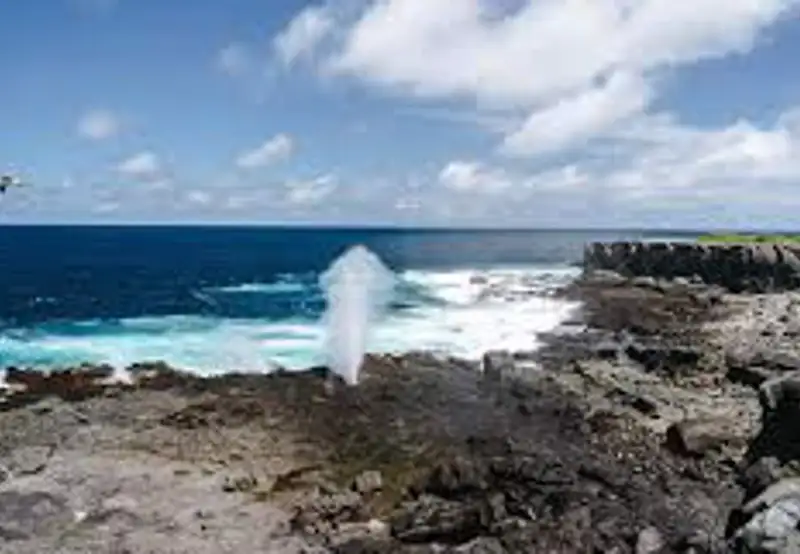 Marvel at the Blowhole