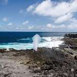 Image related to Marvel at the Blowhole