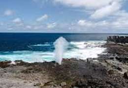 IgluCruise.Application.ViewModels.Shared.WebImageViewModel?.Description