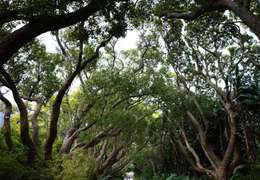 IgluCruise.Application.ViewModels.Shared.WebImageViewModel?.Description