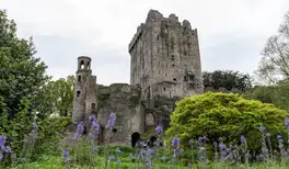 Image related to Blarney Castle