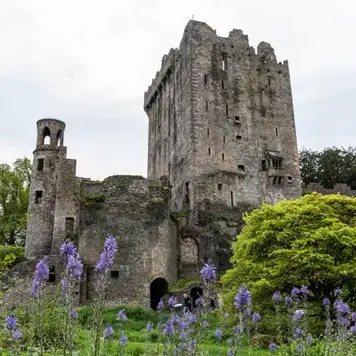 Image related to Blarney Castle