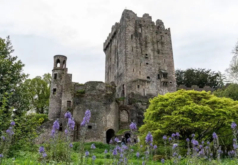Image related to Blarney Castle
