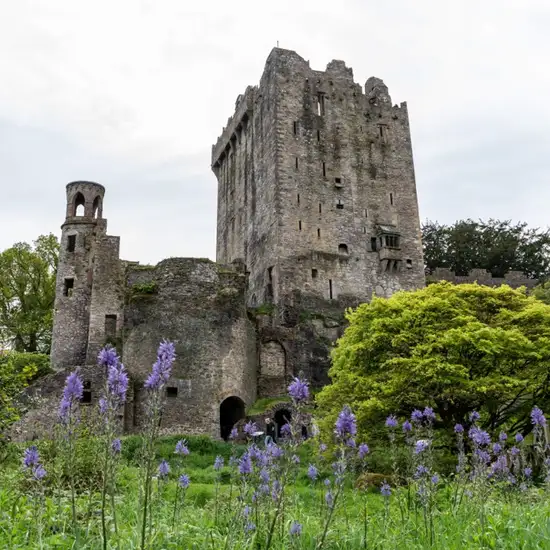 Image related to Image related to Blarney Castle