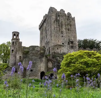 Image related to Blarney Castle