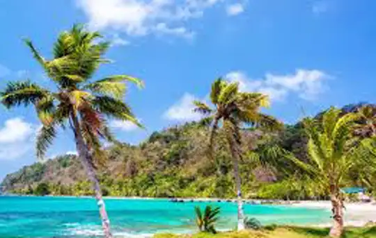 Image related to Captain's Best, Grenadines