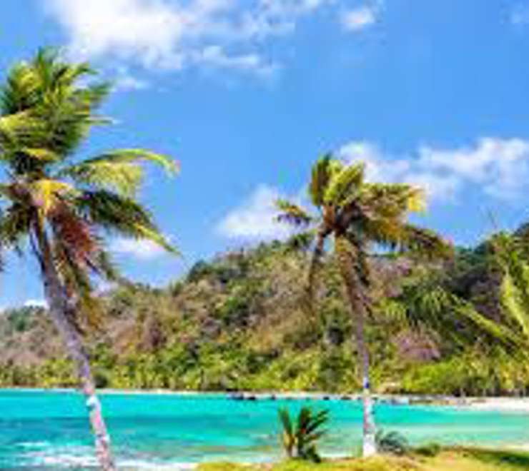 Captain's Best, Grenadines