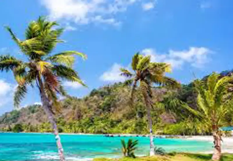 Captain's Best, Grenadines