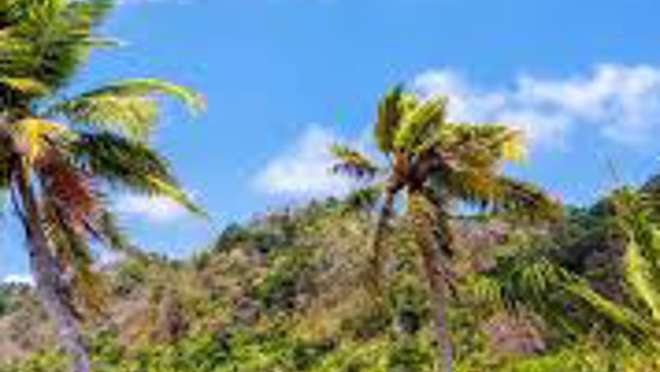 Captain's Best, Grenadines