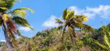 Image related to Captain's Best, Grenadines