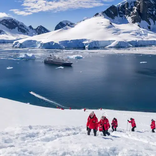 Image related to L'Austral