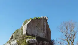 Image related to Portland Castle