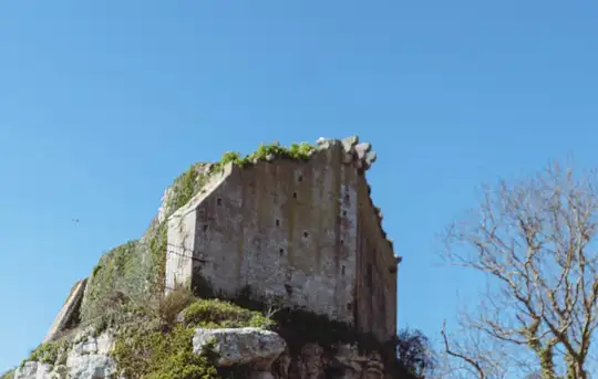 Image related to Portland Castle